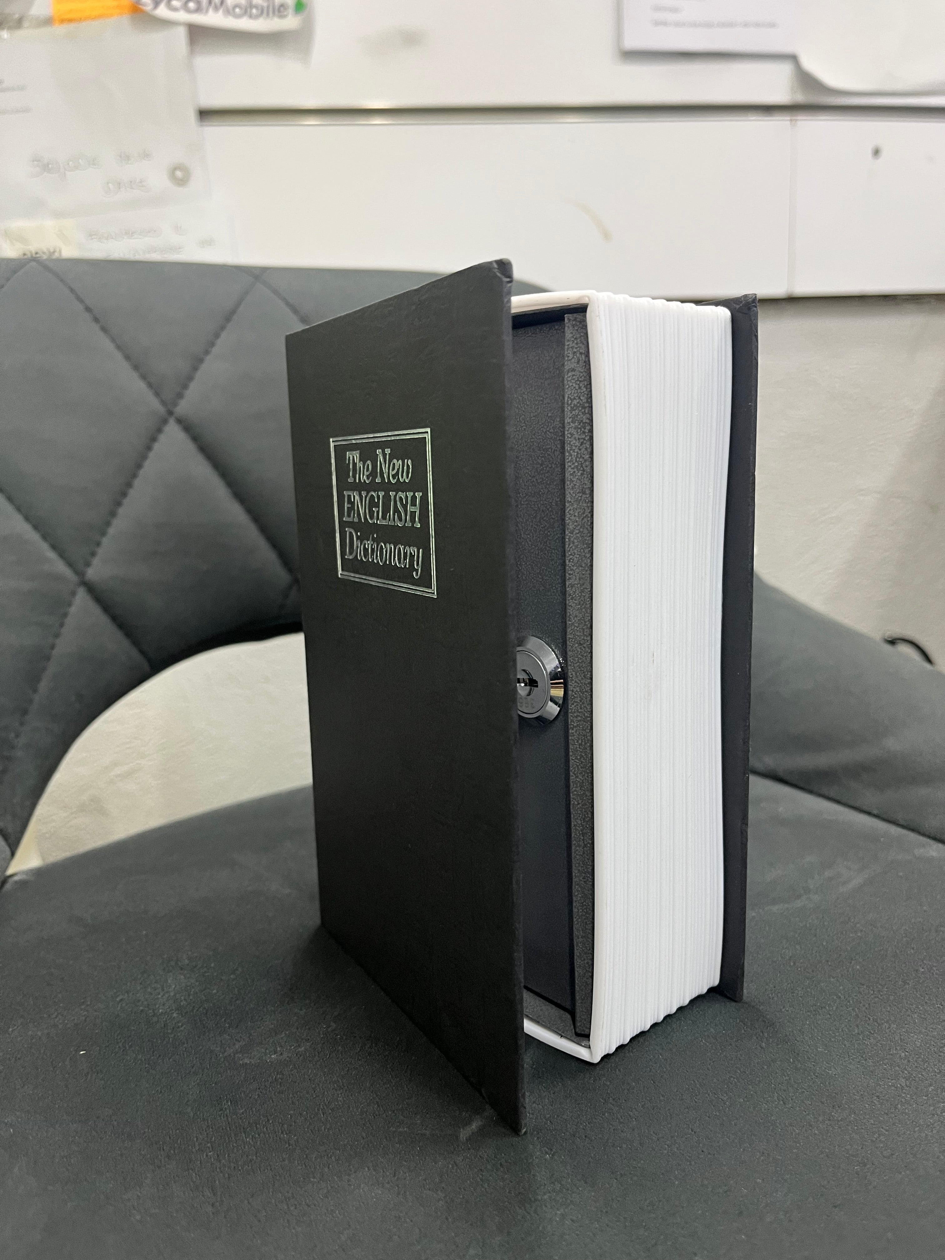 Dizionario Cassaforte Spia