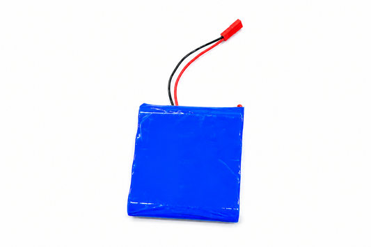 PACCO BATTERIA 10000 mAh